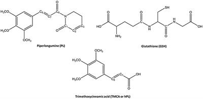 On the Inhibition Mechanism of Glutathione Transferase P1 by Piperlongumine. Insight From Theory